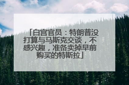 白宫官员：特朗普没打算与马斯克交谈，不感兴趣，准备卖掉早前购买的特斯拉